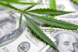 investment management